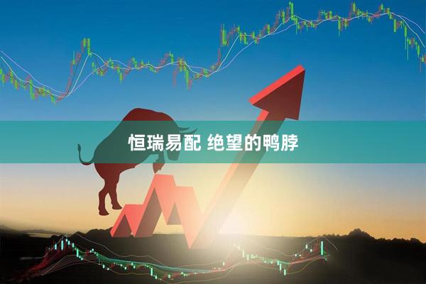 恒瑞易配 绝望的鸭脖